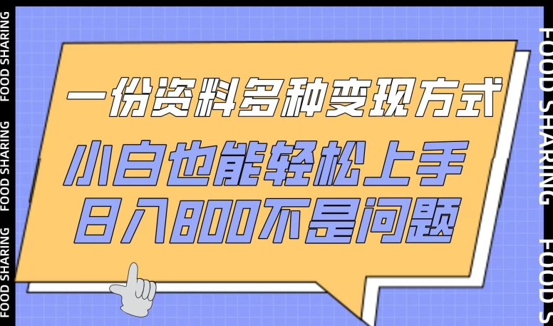 一份资料多种变现方式，小白也能轻松上手，日入800不是问题-立刻分享网创平台
