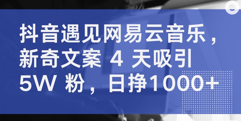 抖音遇见网易云音乐，新奇文案 4 天吸引 5W 粉，日挣1000+-立刻分享网创平台