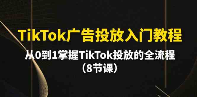 （10085期）TikTok广告投放入门教程，从0到1掌握TikTok投放的全流程（8节课）-立刻分享网创平台