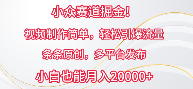 小众赛道掘金，视频制作简单，轻松引爆流量，条条原创，多平台发布-立刻分享网创平台