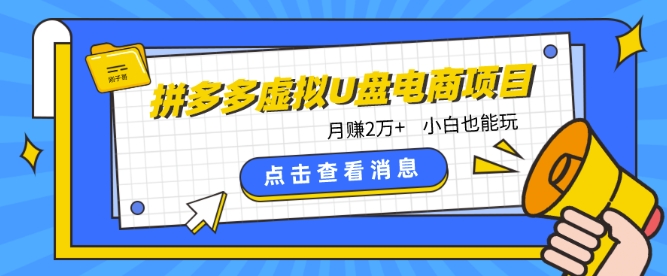 拼多多虚拟U盘电商红利项目：月赚2万+，新手小白也能玩-立刻分享网创平台