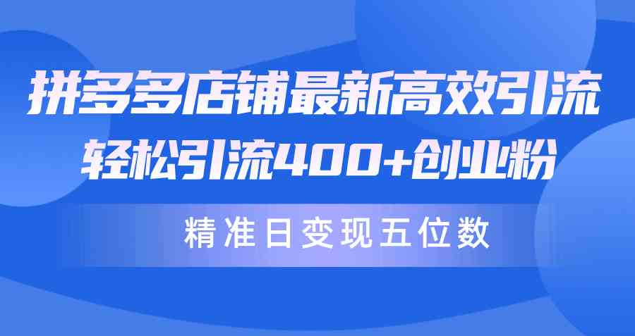 （10041期）拼多多店铺最新高效引流术，轻松引流400+创业粉，精准日变现五位数！-立刻分享网创平台