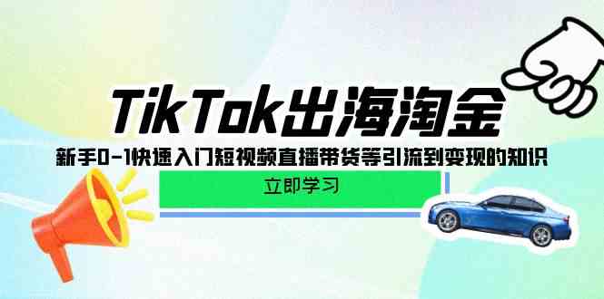 （10035期）TikTok-出海淘金，新手0-1快速入门短视频直播带货等引流到变现的知识-立刻分享网创平台