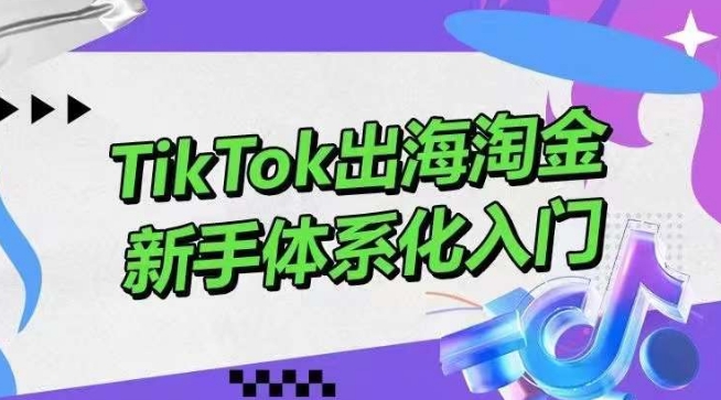 TikTok出海淘金，新手体系化入门，零基础快速入门，掌握短视频、直播带货等引流到变现的知识-立刻分享网创平台