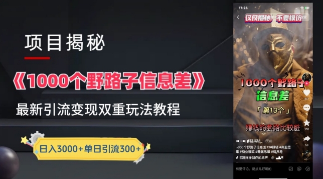 一千个野路子信息差最新玩法教程-变现+引流的玩法具体拆解-立刻分享网创平台