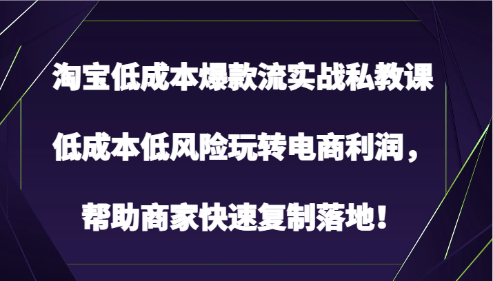 淘宝低成本爆款流实战私教课，低成本低风险玩转电商利润，帮助商家快速复制落地！-立刻分享网创平台