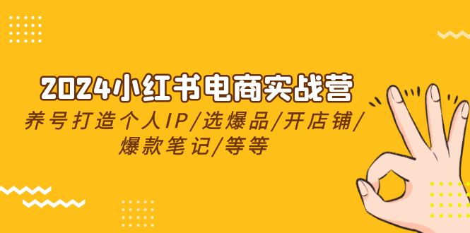 （10376期）2024小红书电商实战营，养号打造IP/选爆品/开店铺/爆款笔记/等等（24节）-立刻分享网创平台