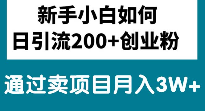 （10843期）新手小白日引流200+创业粉,通过卖项目月入3W+-立刻分享网创平台