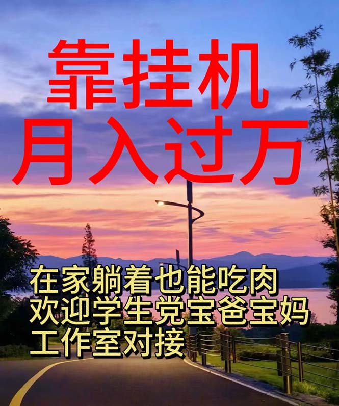 （10838期）靠挂机，日入1000+，躺着也能吃肉，适合宝爸宝妈学生党工作室，电脑手…-立刻分享网创平台