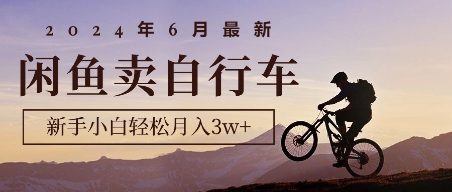 （10915期）2024年6月最新闲鱼卖自行车，新手小白轻松月入3w+项目-立刻分享网创平台