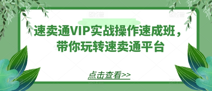 速卖通VIP实战操作速成班，带你玩转速卖通平台-立刻分享网创平台
