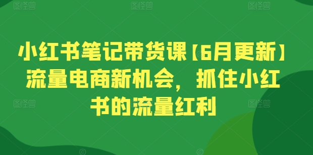 小红书笔记带货课【6月更新】流量电商新机会，抓住小红书的流量红利-立刻分享网创平台