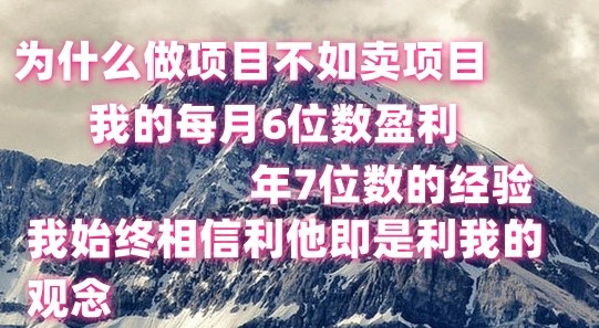 做项目不如卖项目，每月6位数盈利，年7位数经验-立刻分享网创平台