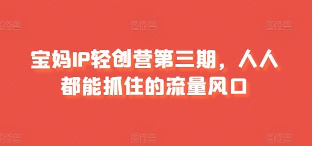 宝妈IP轻创营第三期，人人都能抓住的流量风口-立刻分享网创平台
