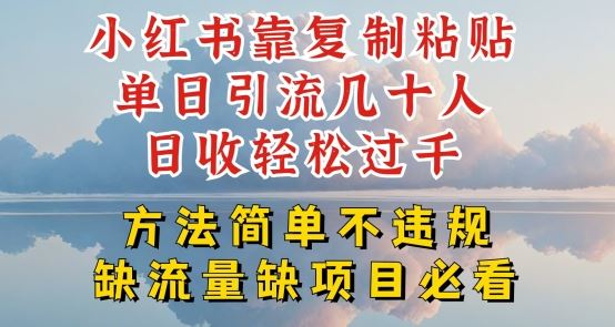 小红书靠复制粘贴单日引流几十人目收轻松过千，方法简单不违规【揭秘】-立刻分享网创平台