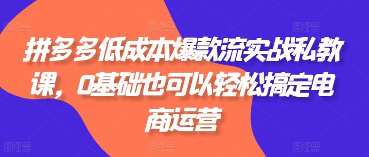 拼多多低成本爆款流实战私教课，0基础也可以轻松搞定电商运营-立刻分享网创平台