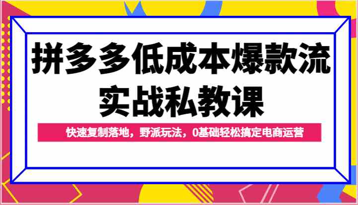 拼多多低成本爆款流实战私教课，快速复制落地，野派玩法，0基础轻松搞定电商运营-立刻分享网创平台
