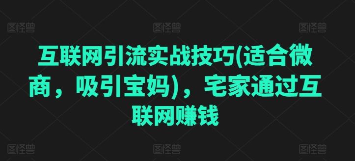 互联网引流实战技巧(适合微商，吸引宝妈)，宅家通过互联网赚钱-立刻分享网创平台