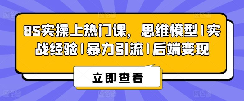 8S实操上热门课，思维模型|实战经验|暴力引流|后端变现-立刻分享网创平台