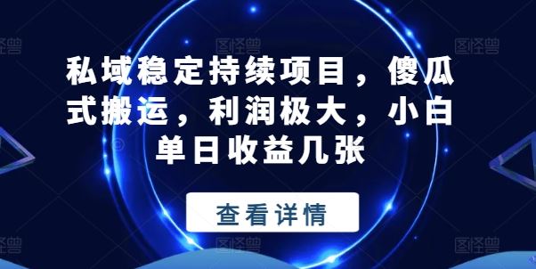 私域稳定持续项目，傻瓜式搬运，利润极大，小白单日收益几张【揭秘】-立刻分享网创平台