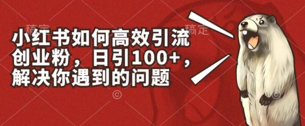 小红书如何高效引流创业粉，日引100+，解决你遇到的问题【揭秘】-立刻分享网创平台