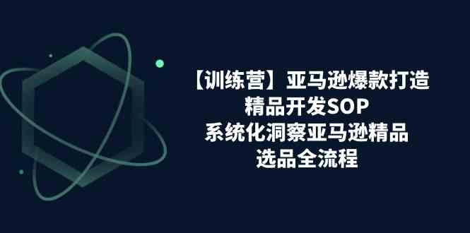 亚马逊爆款打造之精品开发SOP【训练营】，系统化洞察亚马逊精品选品全流程-立刻分享网创平台