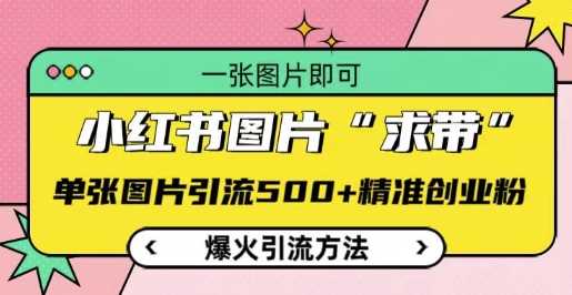 小红书图片‘求带’爆火引流法，单张图片引流500+精准创业粉【揭秘】-立刻分享网创平台