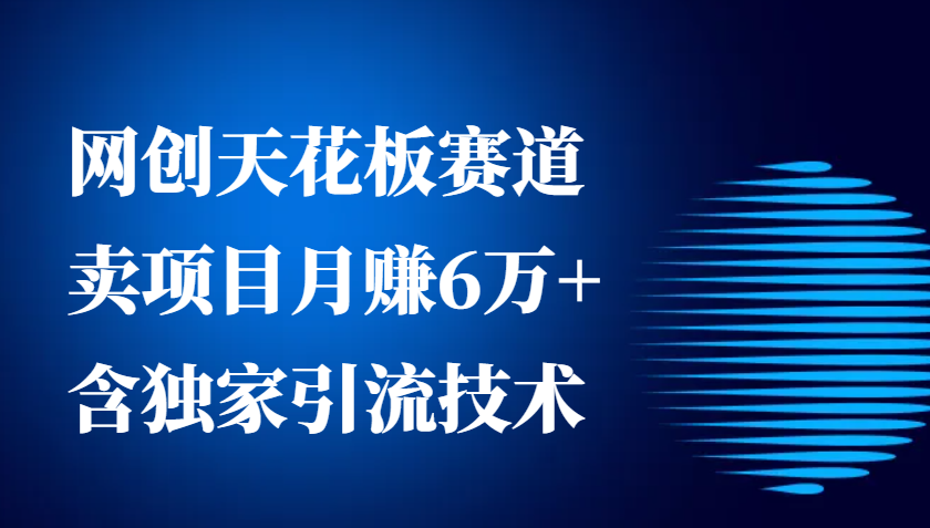 网创天花板赛道，卖项目月赚6万+，含独家引流技术（共26节课）-立刻分享网创平台