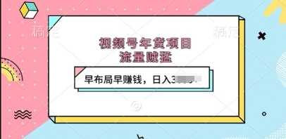 视频号年货项目，流量贼猛，早布局早挣钱，日入上k【揭秘】-立刻分享网创平台