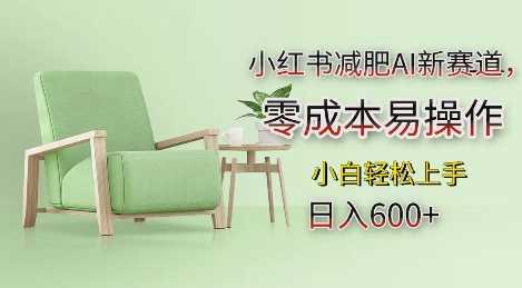 小红书减肥AI新赛道，零成本易操作，日入多张，小白轻松上手【揭秘】-立刻分享网创平台
