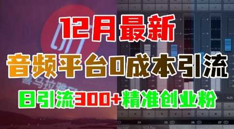 12月最新：音频平台0成本引流，日引流300+精准创业粉-立刻分享网创平台