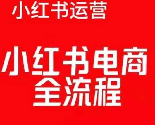 红薯电商实操课，小红书电商全流程-立刻分享网创平台