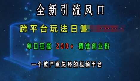 全新引流风口，跨平台玩法日入上k，单日狂揽200+精准创业粉，一个被严重忽略的视频平台-立刻分享网创平台