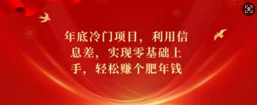 年底冷门项目，利用信息差，实现零基础上手，轻松赚个肥年钱【揭秘】-立刻分享网创平台