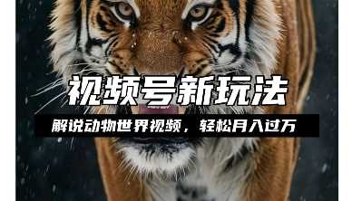 利用动物世界解说视频，赚分成计划收益，轻松月入过W，操作简单【揭秘】-立刻分享网创平台