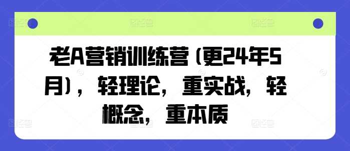 老A营销训练营(更24年12月)，轻理论，重实战，轻概念，重本质-立刻分享网创平台