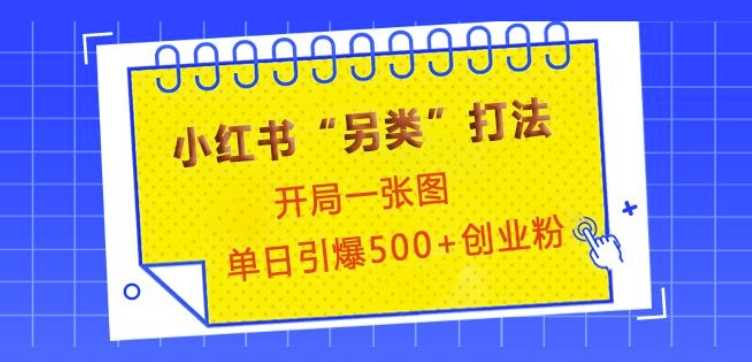 小红书“另类”打法，开局一张图，单日引爆500+精准创业粉【揭秘】-立刻分享网创平台
