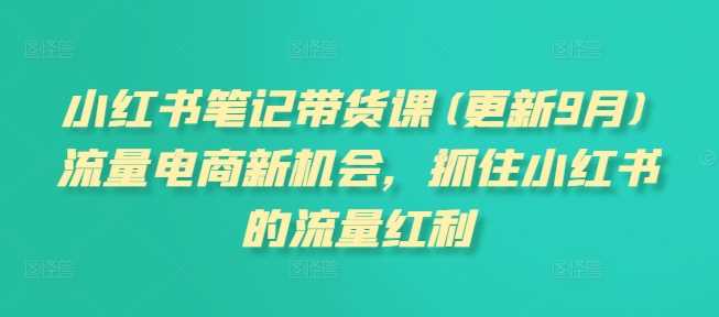 小红书笔记带货课(更新12月)流量电商新机会，抓住小红书的流量红利-立刻分享网创平台