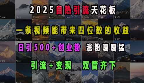 2025自热引流天花板，一条视频能带来四位数的收益，引流+变现双管齐下，日引500+创业粉，涨粉嘎嘎猛-立刻分享网创平台