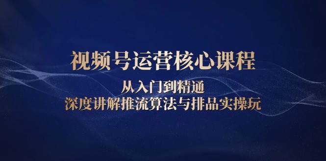 （13863期）视频号运营核心课程，从入门到精通，深度讲解推流算法与排品实操玩-立刻分享网创平台