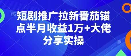 短剧推广拉新番茄锚点半月收益1万+大佬分享实操-立刻分享网创平台