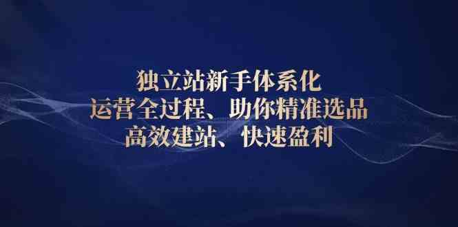 独立站新手体系化 运营全过程，助你精准选品、高效建站、快速盈利-立刻分享网创平台