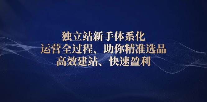 （13914期）独立站新手体系化 运营全过程，助你精准选品、高效建站、快速盈利-立刻分享网创平台