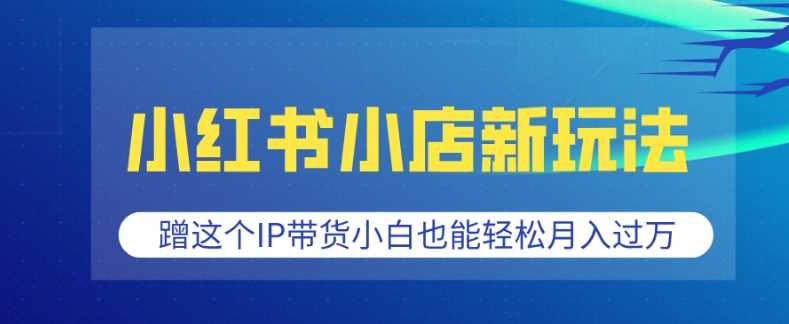 小红书小店新玩法，蹭这个IP带货，小白也能轻松月入过W【揭秘】-立刻分享网创平台