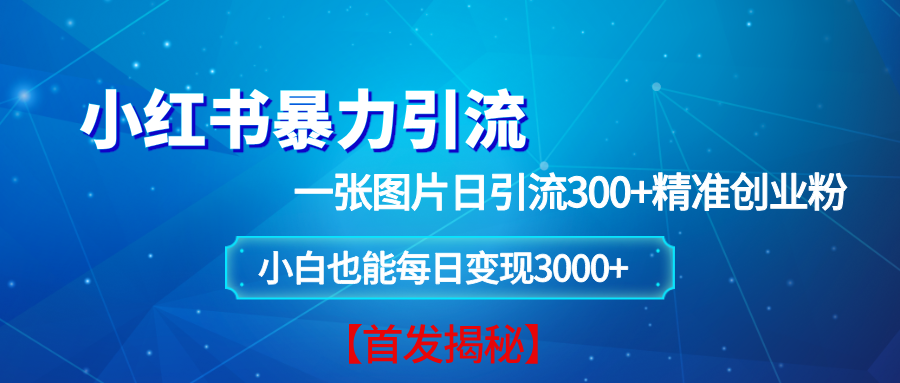 （13935期）小红书暴力引流法，一张图片日引 300+精准创业粉，每日稳定变现 3000+【揭秘】-立刻分享网创平台