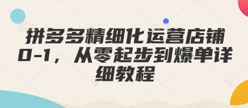 拼多多精细化运营店铺0-1，从零起步到爆单详细教程-立刻分享网创平台