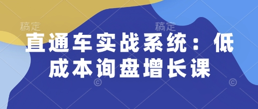 直通车实战系统：低成本询盘增长课，让个人通过技能实现升职加薪，让企业低成本获客，订单源源不断-立刻分享网创平台