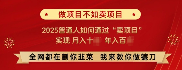 必看，做项目不如卖项目，2025普通人如何通过“卖项目”实现月入十个，年入百个-立刻分享网创平台