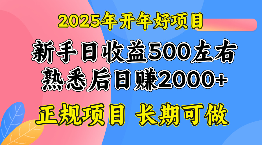 2025开年好项目，单号日收益2000左右-立刻分享网创平台