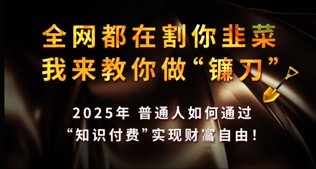 全网都在割你韭菜，我来教你做镰刀，2025年普通人如何通过 知识付费 实现财F自由【揭秘】-立刻分享网创平台